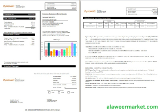 New York Dynowatt electricity business utility bill Word and PDF formats, 2 pages